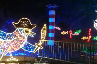 Po świąteczne selfie do… Lumina Park w Ogrodzie Botanicznym UMCS! [GALERIA]