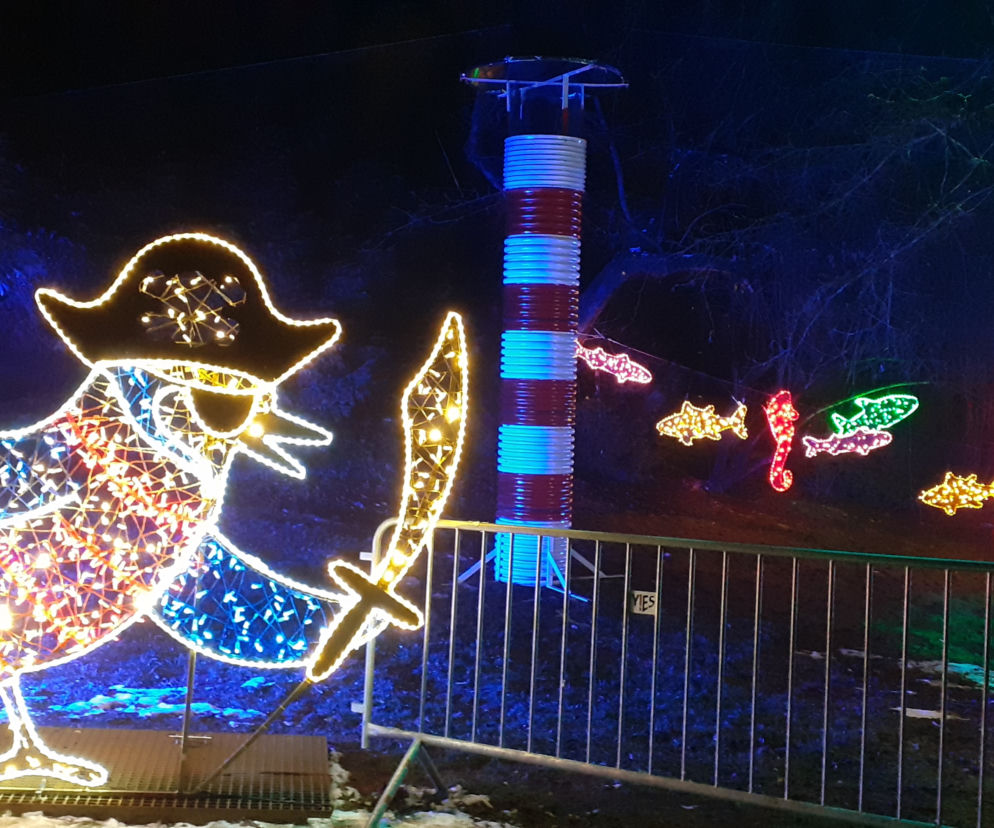 Lumina Park w Ogrodzie Botanicznym UMCS w Lublinie