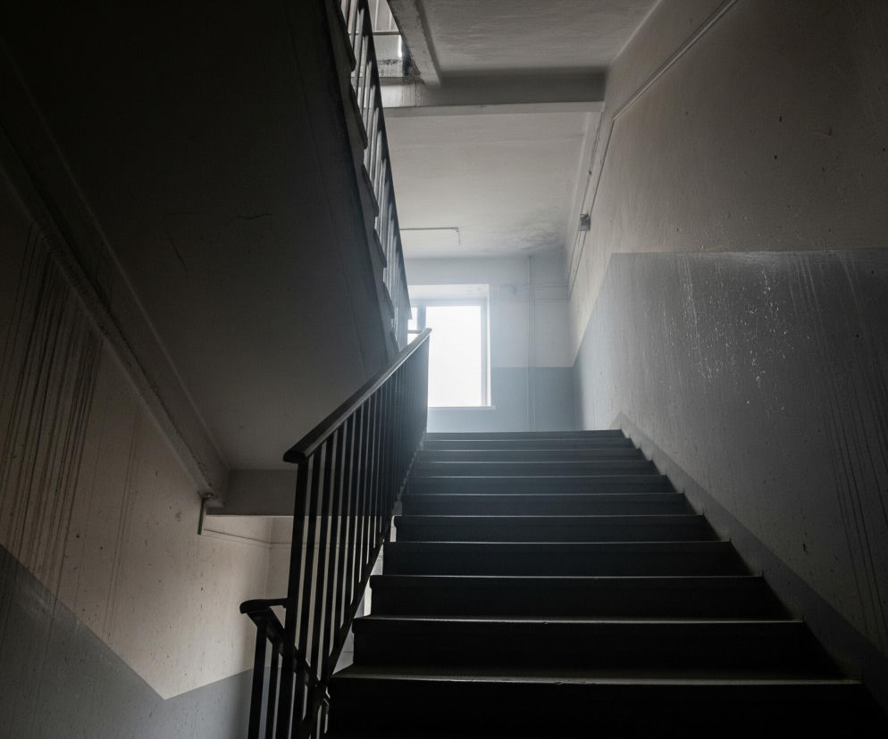 Widoczne są schody w ciemnej klatce schodowej, prowadzące w górę i w prawo, z kontrastowym, jasnym oknem na końcu biegu. Lewa strona obrazu jest znacznie ciemniejsza, z widocznymi zaciekami na ścianie i suficie. Schody i ściany mają odcienie szarości, z intensywnym światłem wpadającym z dalekiego okna, które oświetla górną część biegu schodów. Balustrada po lewej stronie schodów jest ciemna, metalowa, z pionowymi szczeblami.