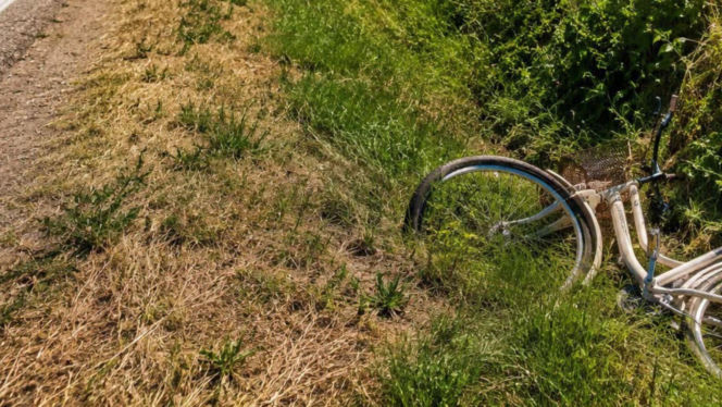 Rowerzysta miał udar i wpadł do rowu. Przez 1,5 godziny nikt się nie zatrzymał