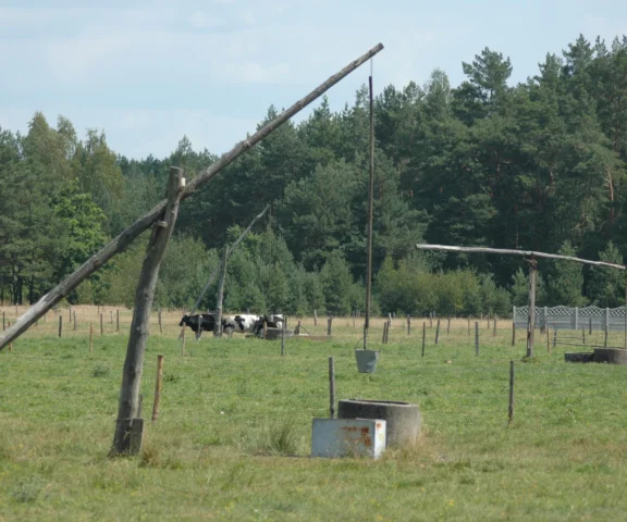 Masz nielegalną studnię – będziesz mógł ją zgłosić. Sejm przyjął nowelizację Prawa wodnego