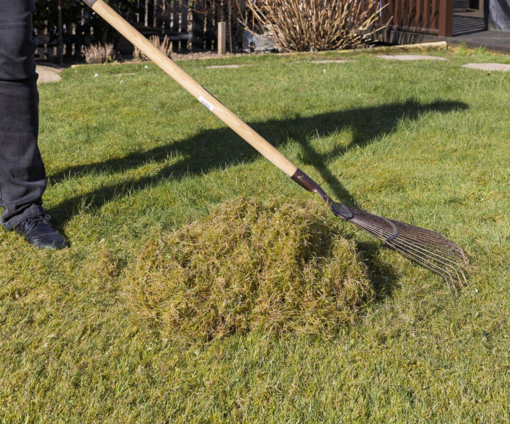 Wertykulacja trawnika