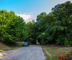 Pokrzywnica