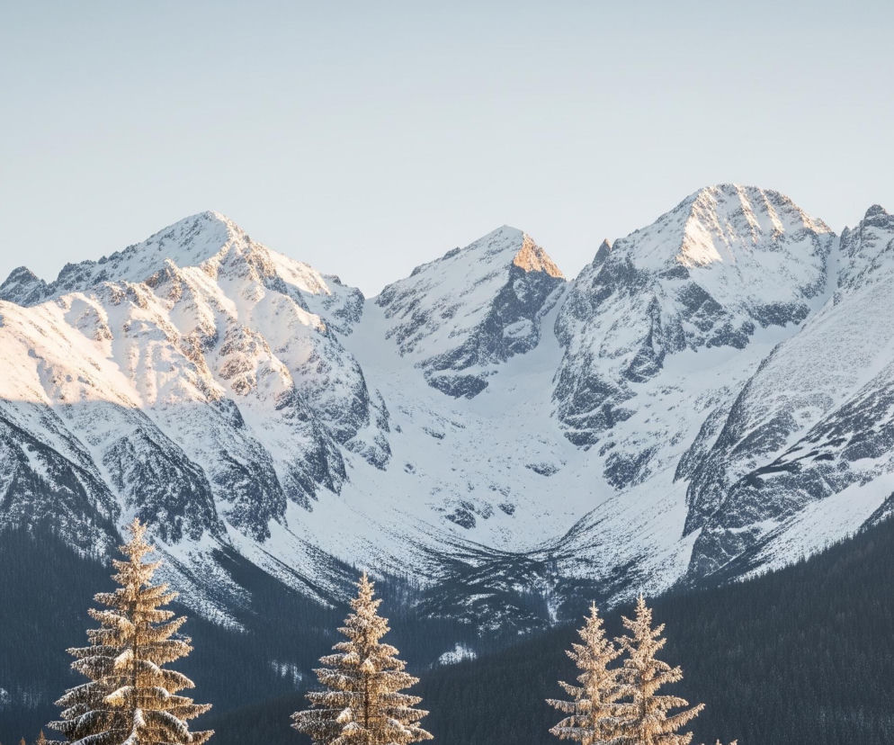 Wysokie, ośnieżone szczyty górskie dominują na środku zdjęcia, pokryte warstwą świeżego białego śniegu i częściowo oświetlone złotym światłem. Poniżej rozciąga się ciemnozielony las iglasty, gęsto porastający zbocza. Na pierwszym planie, w dolnej części kadru, widoczne są trzy ośnieżone drzewa iglaste, ich gałęzie lśnią w ciepłym świetle. Niebo w górnej części obrazu jest jasnoniebieskie, niemal bezchmurne.