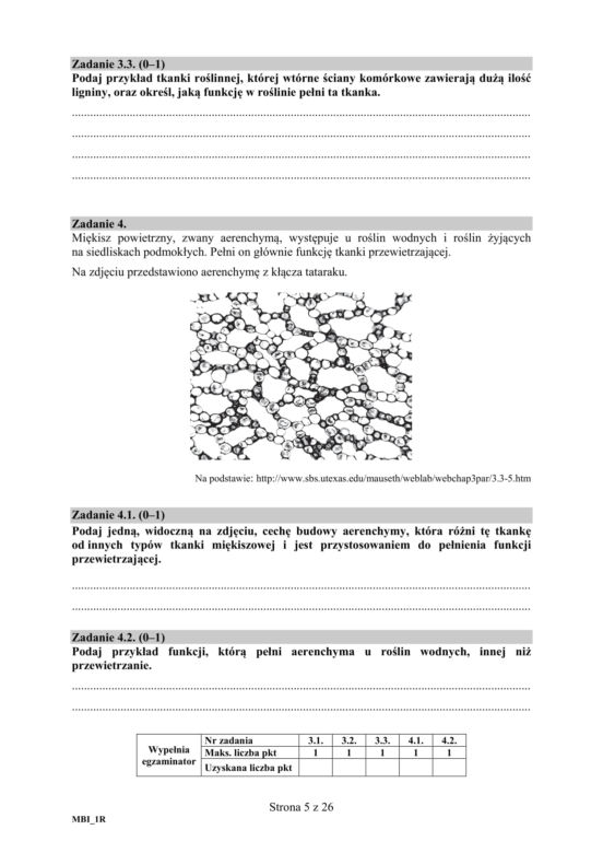 Matura 2020 ARKUSZE CKE z biologii POZIOM ROZSZERZONY 