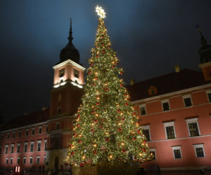 Choinka na Placu Zamkowym już świeci