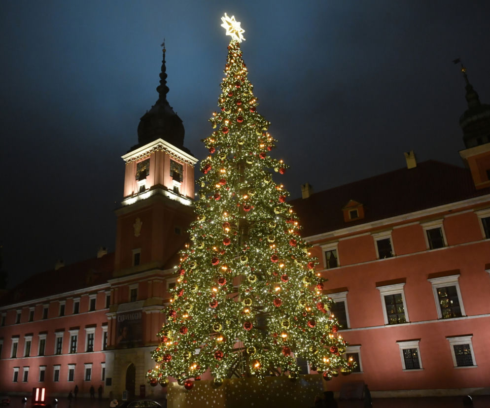 Choinka na Placu Zamkowym już świeci