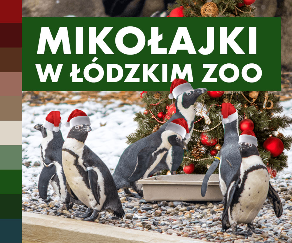 Mikołajki w ZOO