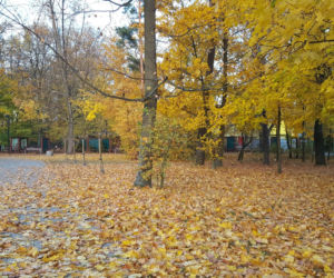 Park 1000-lecia w Lesznie na chwilę przed zachodem słońca