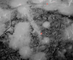 Dramat na mokradłach. 27-latka tonęła w trzęsawisku, uratował ją dron!