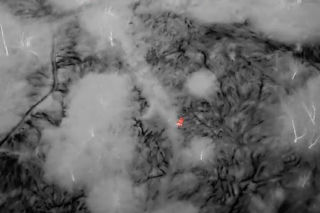 Dramat na mokradłach. 27-latka tonęła w trzęsawisku, uratował ją dron!