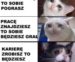 Dzień Kota 2021. Rasowe, dachowce, małe i duże. Dziś KOTY mają swoje święto [MEMY]