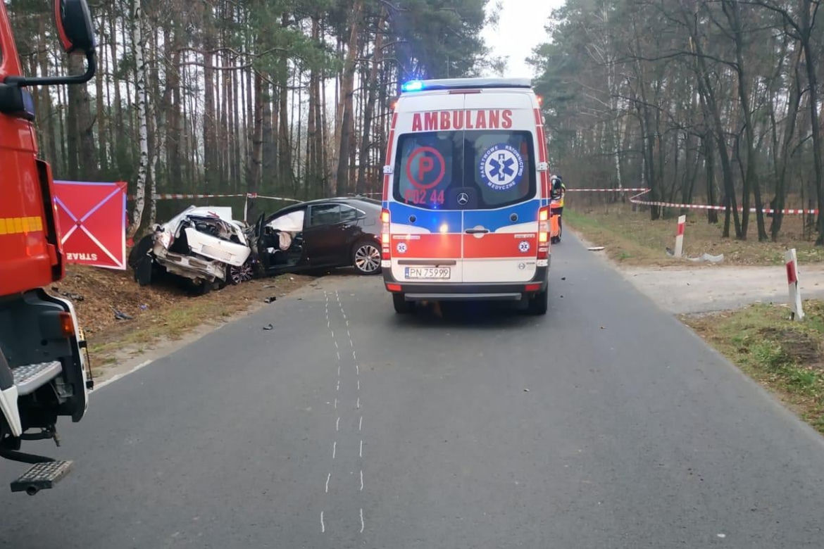 19-latka zginęła koło Konina
