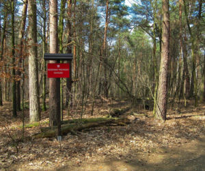 Dzikie zakątki woj. śląskiego