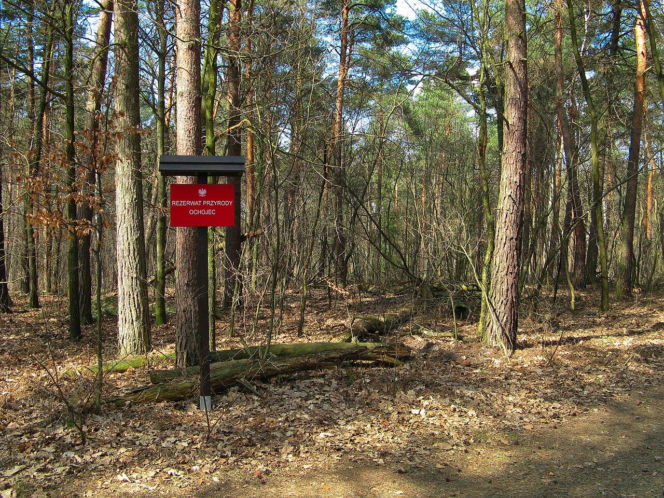 Dzikie zakątki woj. śląskiego