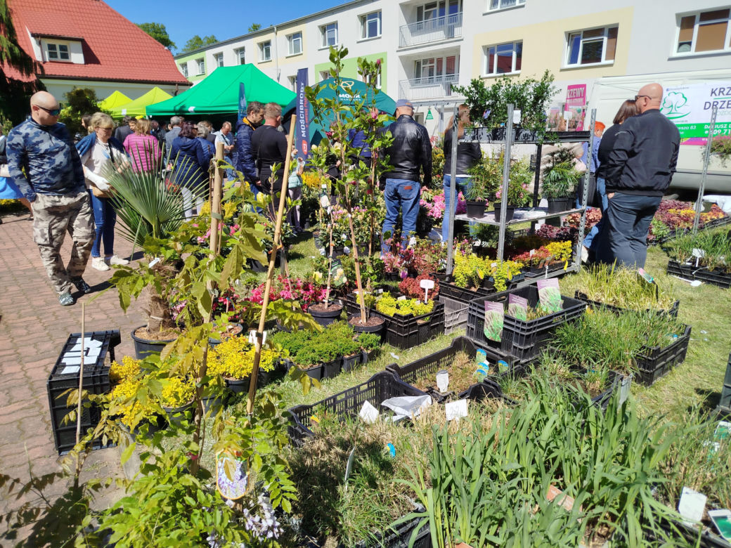 Wydarzenie zorganizował siedlecki oddział Mazowieckiego Ośrodka Doradztwa Rolniczego we współpracy z Miastem Siedlce, Starostwem Powiatowym, siedlecką uczelnią, strażą pożarną i Nadleśnictwem.