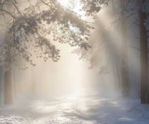 Pogoda 9 i 10 lutego. Czy mróz zelżeje w części Polski?