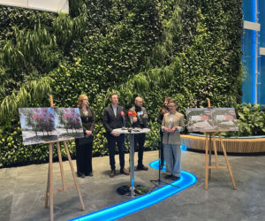 Betonowa ikona łapie oddech. Plac Solidarności w Szczecinie przejdzie „zieloną akupunkturę”