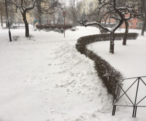 Zima na Czechowie