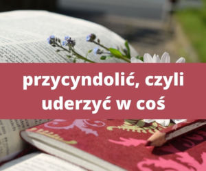 Te słowa tylko na Podkarpaciu! Znasz znaczenie tych słów? 