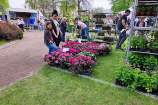 Siedlce: Będzie kiermasz kwiatów, drzew owocowych  i ekologiczne przysmaki - przed nami XVIII Wiosna na polu i w ogrodzie