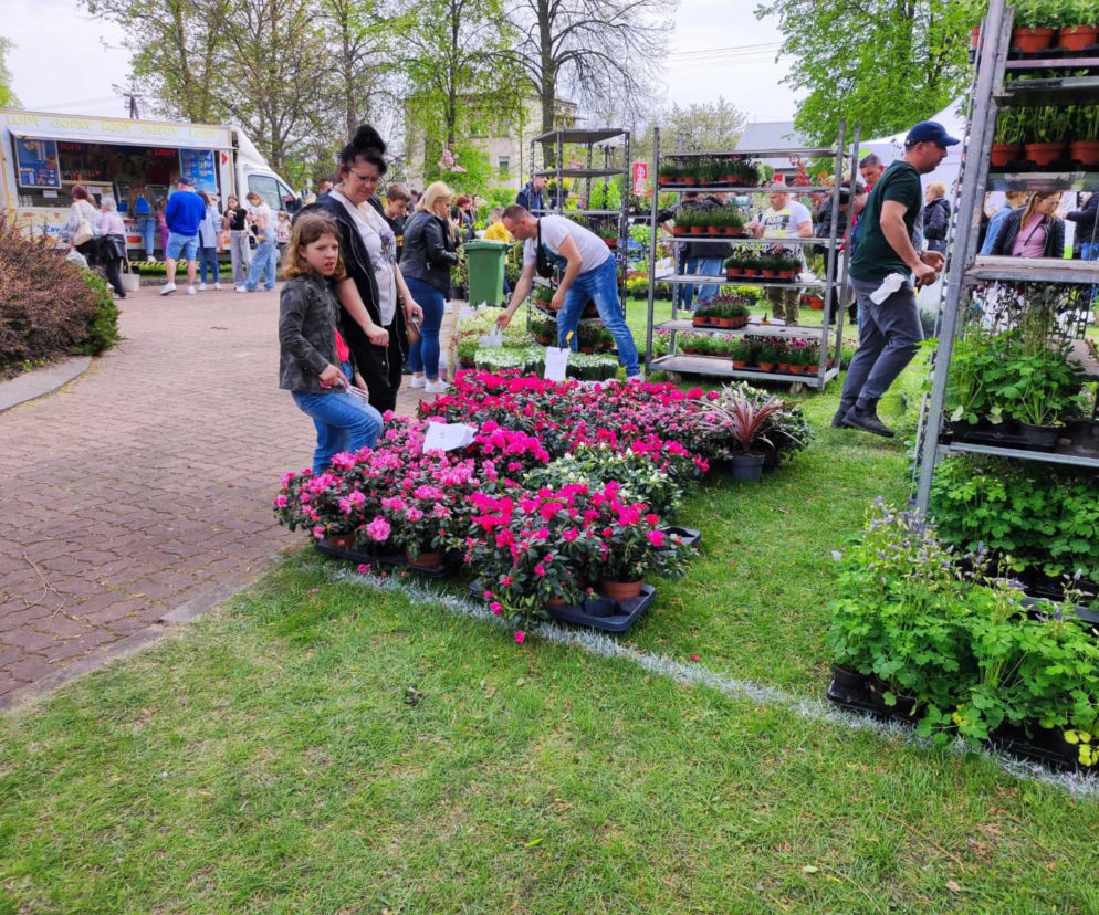 Siedlce: Będzie kiermasz kwiatów, drzew owocowych  i ekologiczne przysmaki - przed nami XVIII Wiosna na polu i w ogrodzie
