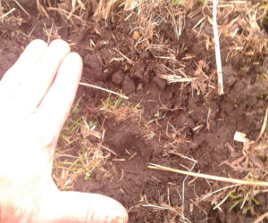 Rolnicy. Podlasie. Tragedia u jednego z bohaterów. Fani są w szoku [ZDJĘCIA]