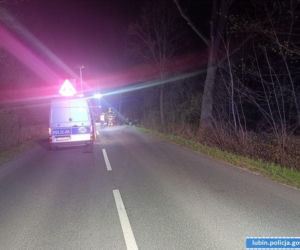 Tragedia na Dolnym Śląsku. Dwóch młodych mężczyzn zginęło w wypadku