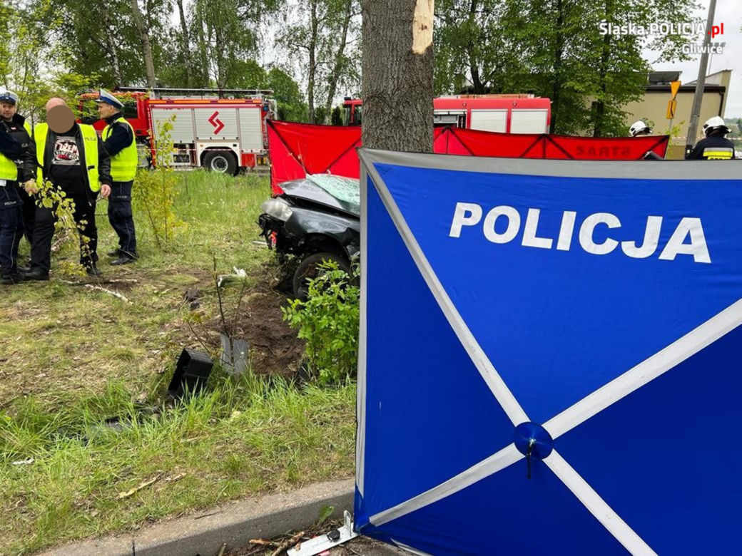 Audi roztrzaskało się o przydrożne drzewo. 19-latek i 21-latek nie żyją