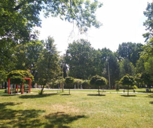 Park Bogucki w Katowicach zyskał nowe oblicze! [ZDJĘCIA]
