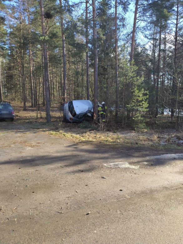 Wypadek na DW 686. Kierowca renault "zaparkował" między drzewami [ZDJĘCIA]