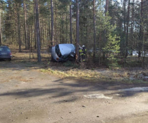 Wypadek na DW 686. Kierowca renault zaparkował między drzewami [ZDJĘCIA]