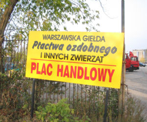 giełda ptactwa ozdobnego na Żeraniu