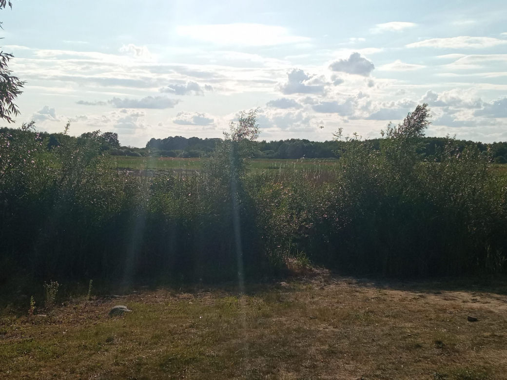 Wyschnięte jezioro w Skrzatuszu pod Piłą po miesiącu