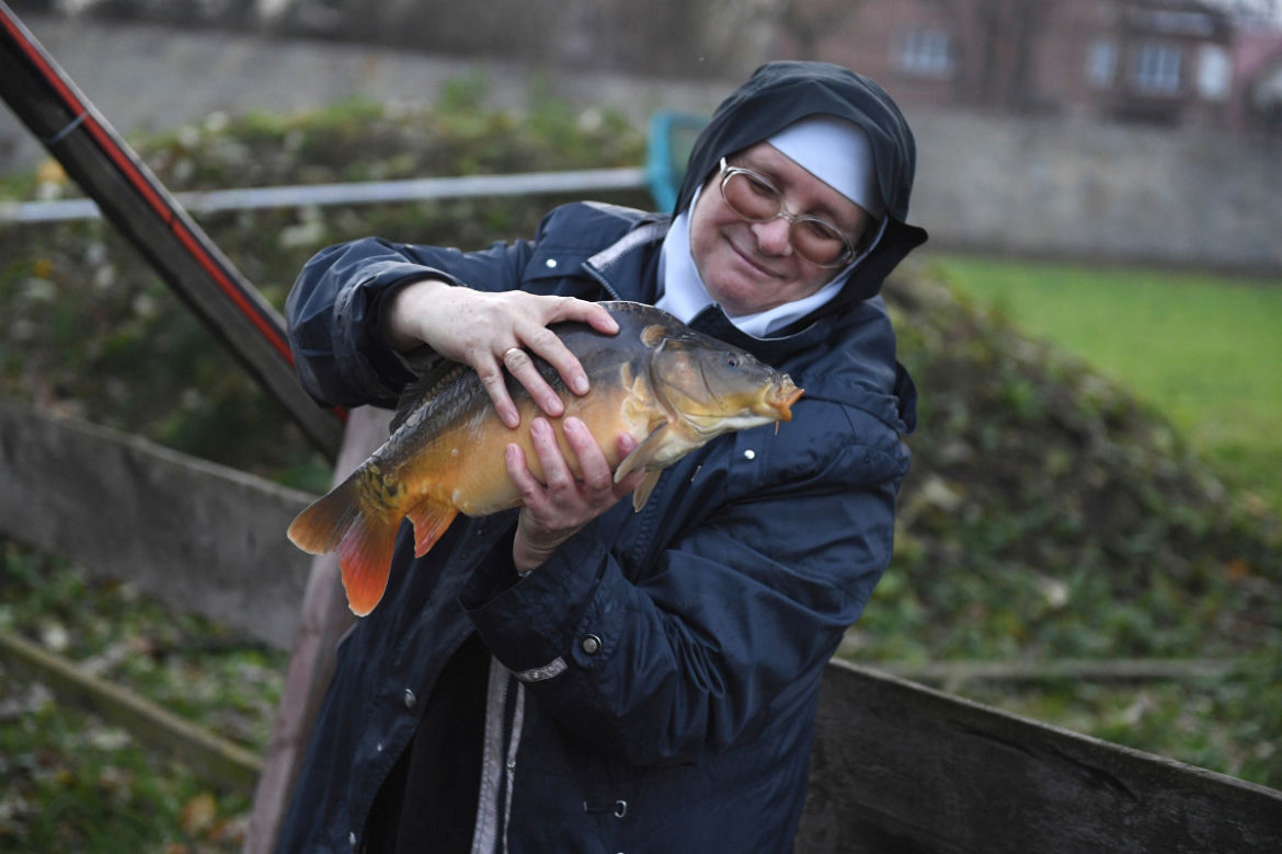 Karp od zakonnic ze Staniątek.  Cena wyższa niż w marketach, ale po ryby ustawiają się tłumy
