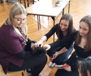Fotorelacja z 14. Targów Edukacyjnych i dni otwartych w Zespole Szkół Ponadgimnazjalnych nr 3 w Siedlcach
