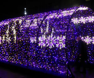 Świąteczne iluminacje we Wrocławiu
