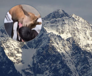 Jeleń stał spokojnie, a nagle ruszył na kobietę. To nie jest Disney