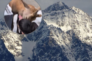 Jeleń stał spokojnie, a nagle ruszył na kobietę. To nie jest Disney