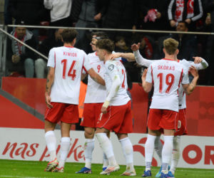 Mecz Polska - Albania. Gol Lewandowskiego