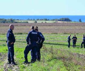 Poszukiwania Emilii Koprowskiej