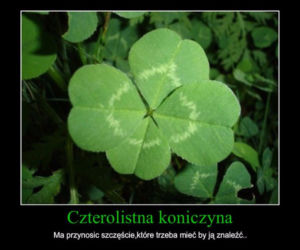 Dzień Świętego Patryka 