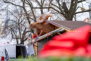 Ostatnie przygotowania do Szczecińskiego Jarmarku Bożonarodzeniowego