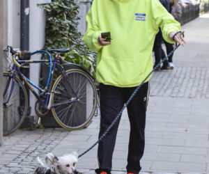 To on ma skraść show w Tańcu z Gwiazdami. Będzie Karolakiem nowej edycji!