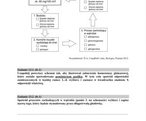 Matura próbna 2020 biologia, str.14