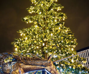 Świąteczne iluminacje robią w Łodzi klimat, Piotrkowska