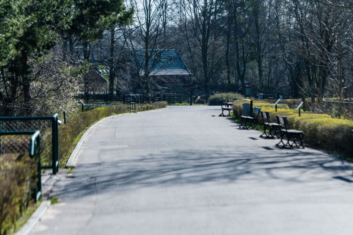 Koronawirus w Trójmieście. ZOO zamknięte na czas kwarantanny