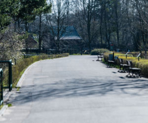 Koronawirus w Trójmieście. ZOO zamknięte na czas kwarantanny