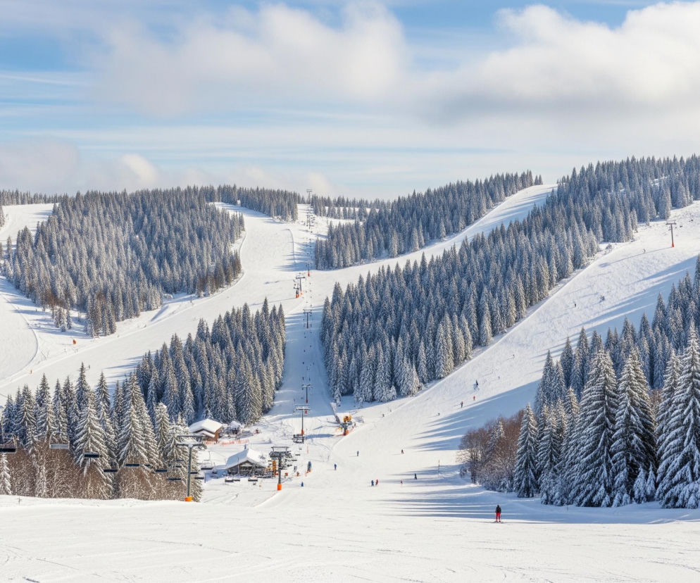 Ferie zimowe na stoku. Gd.jpg