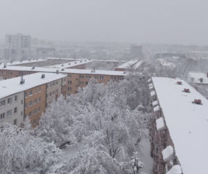 Atak zimy w Białymstoku [26.01.2021]
